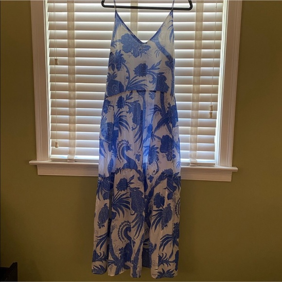 H&M •Blue and White Printed Maxi Dress• - Picture 2 of 9
